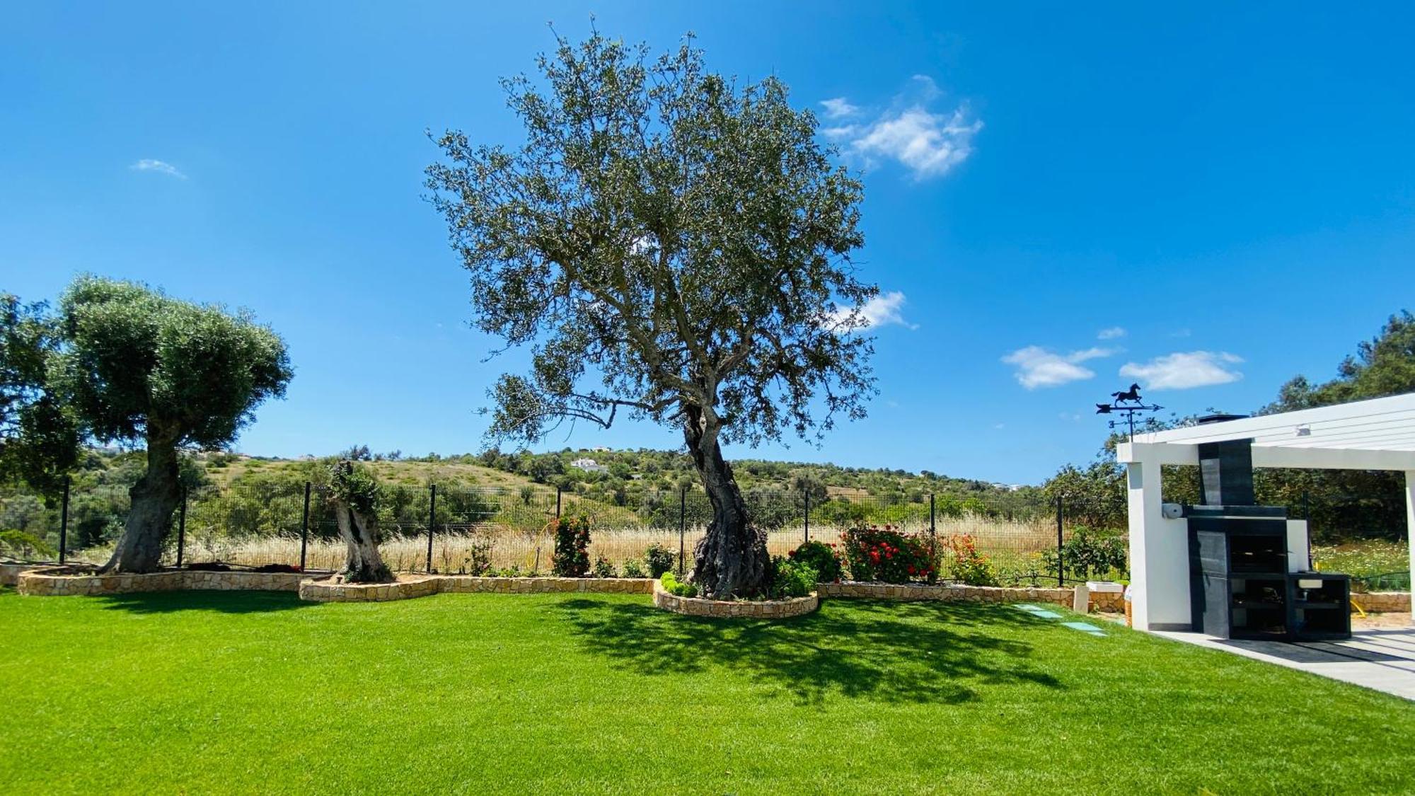 Eden By Check-In Portugal Villa อัลบูเฟรา ภายนอก รูปภาพ